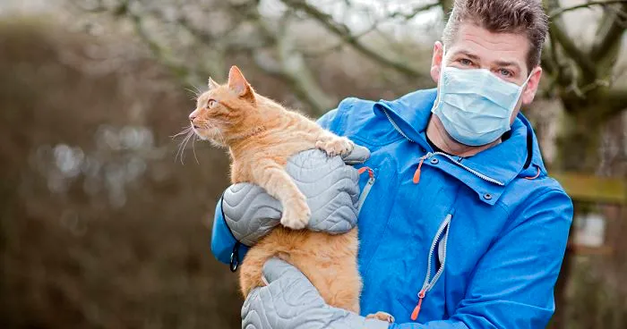 This New ‘Vaccine’ Can Prevent You From Being Allergic To Cats