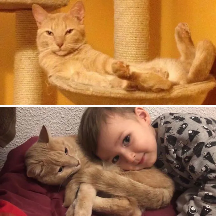 De ser el rey a ser la almohada