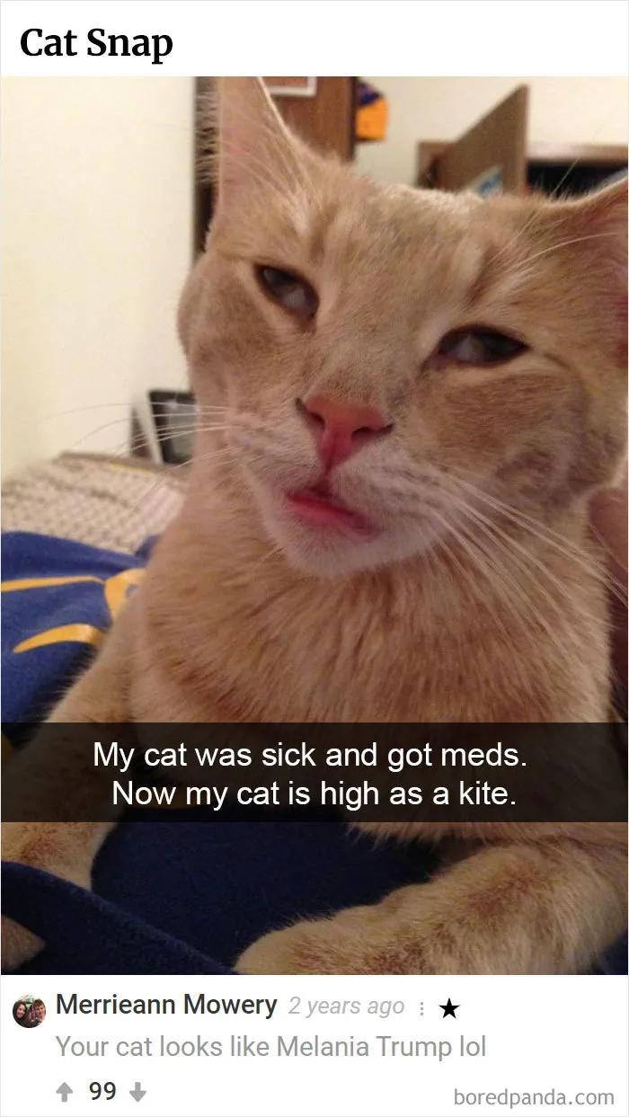 45 Funny Times The Comments Were Better Than Our Pictures