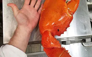 50 Times People Absolutely Won The Food Lottery (New Pics)