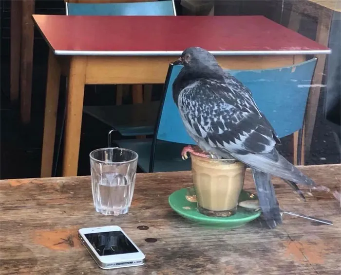 Voy a posarme en este café