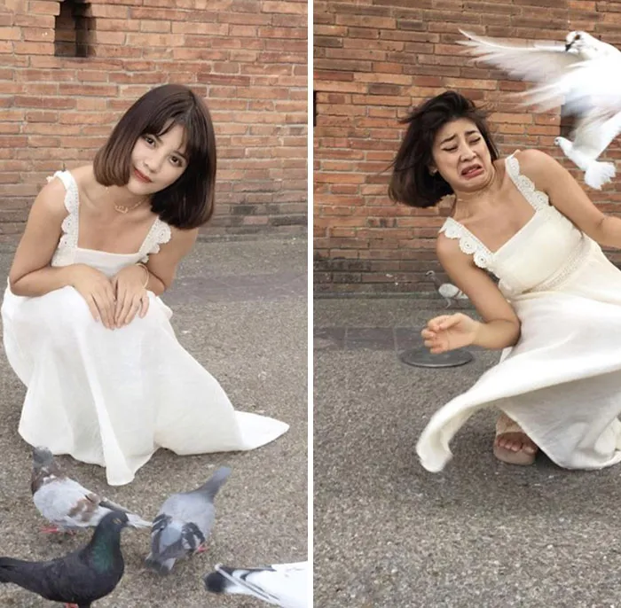 No intentes posar con pájaros