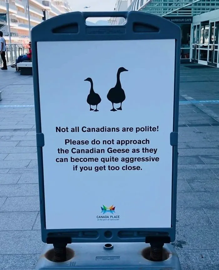 Beware Of The Cobra Chicken