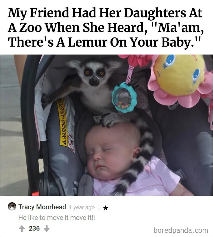 45 Funny Times The Comments Were Better Than Our Pictures
