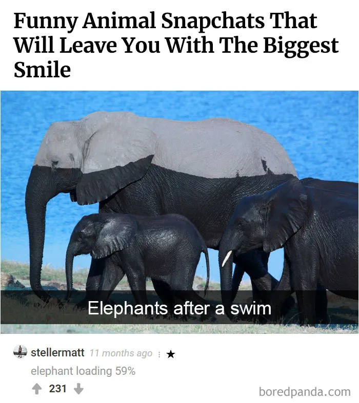39 Funny Times The Comments Were Better Than Our Pictures