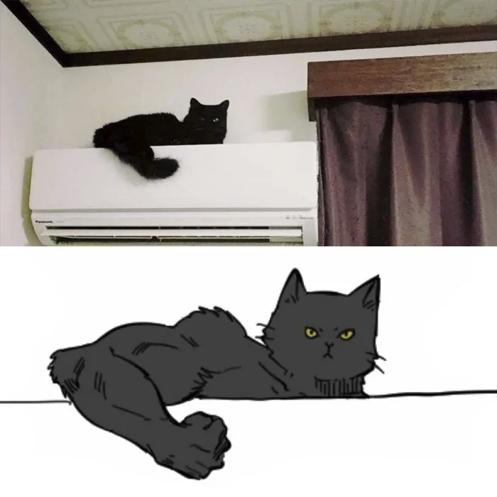 10 Times People Thought They Were Seeing Buff Animals, But They Were Optical Illusions