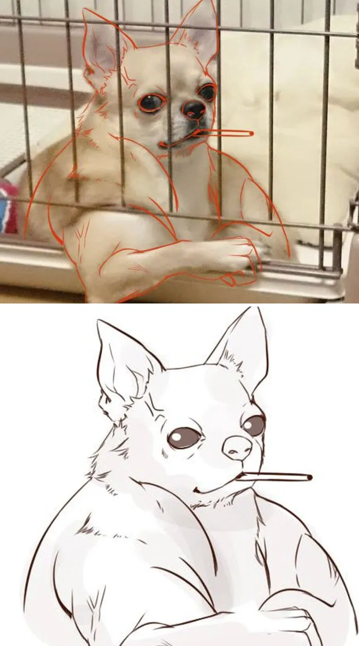 10 Times People Thought They Were Seeing Buff Animals, But They Were Optical Illusions