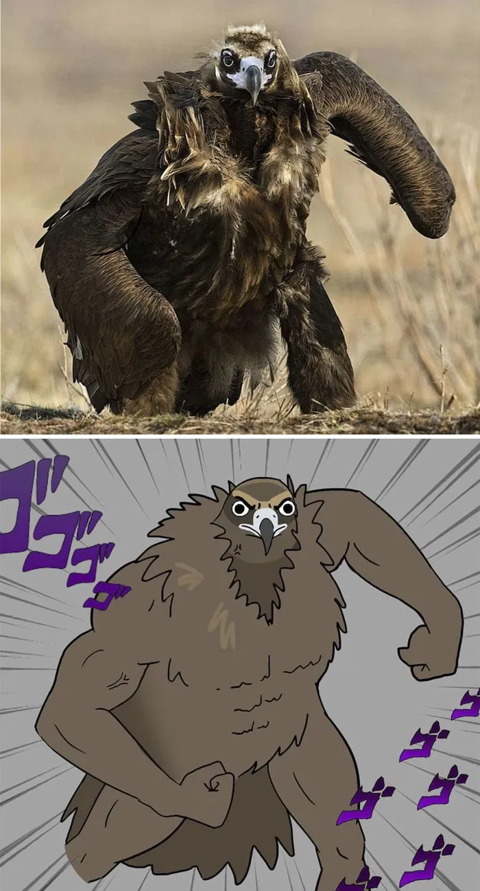 10 Times People Thought They Were Seeing Buff Animals, But They Were Optical Illusions