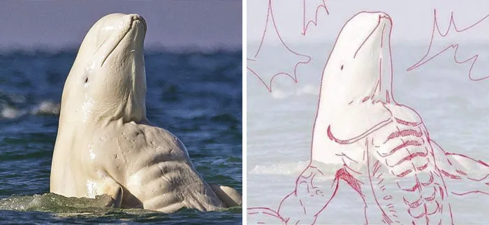 10 Times People Thought They Were Seeing Buff Animals, But They Were Optical Illusions