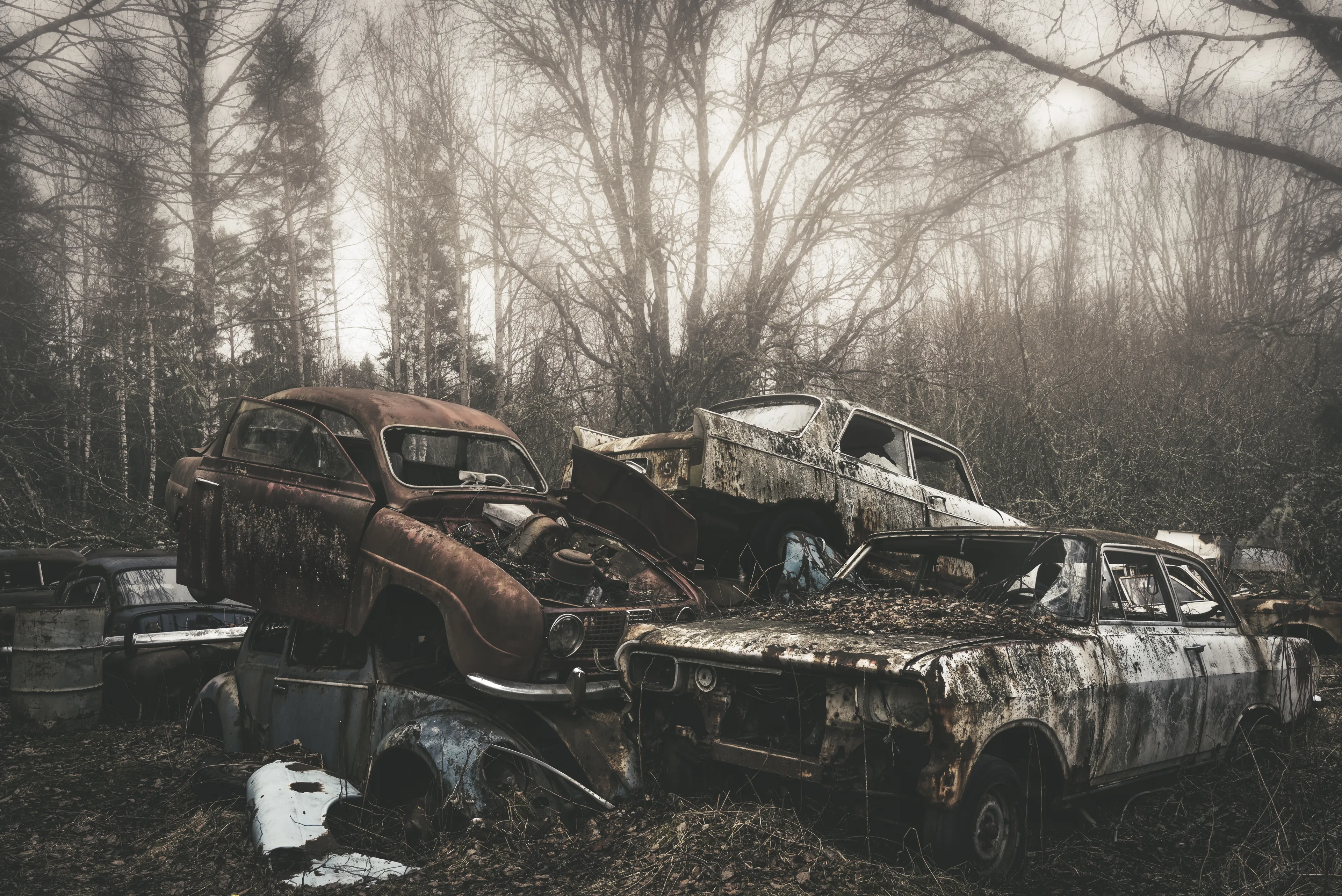 I Photographed This Amazing Hidden Junkyard