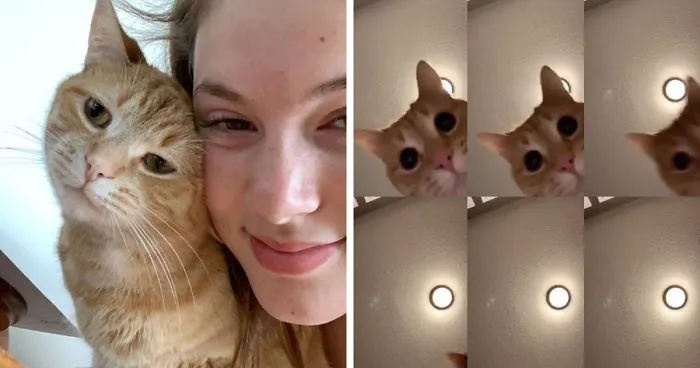 17-Year-Old Makes Hilarious TikTok Video Of Her Cat Dancing To “Mr. Sandman” And 1.5 Million People Love It