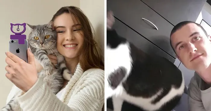 There's A Cat Selfie Device That Will Make Your Photos With Your Cat Simply Purrfect