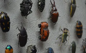 50 Times People Were So Amazed By These Museum Exhibits, They Shared These Pics Online