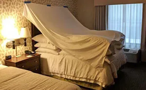 40 Hoteles que sorprendieron a todos con su creatividad (Nuevas imágenes)