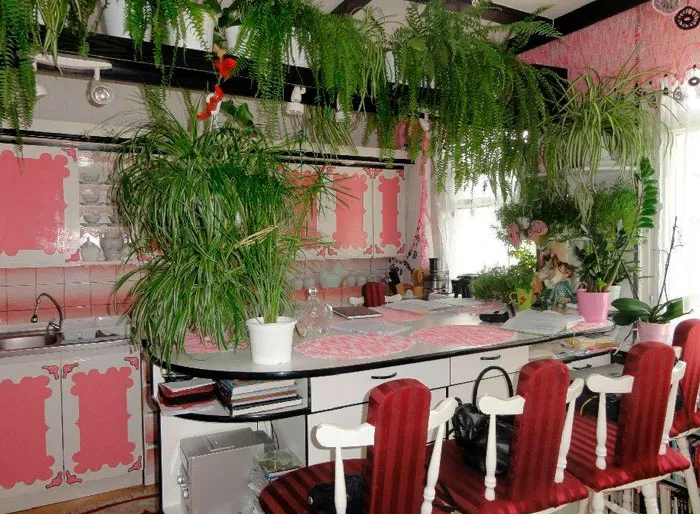 ¿Cocina o invernadero?