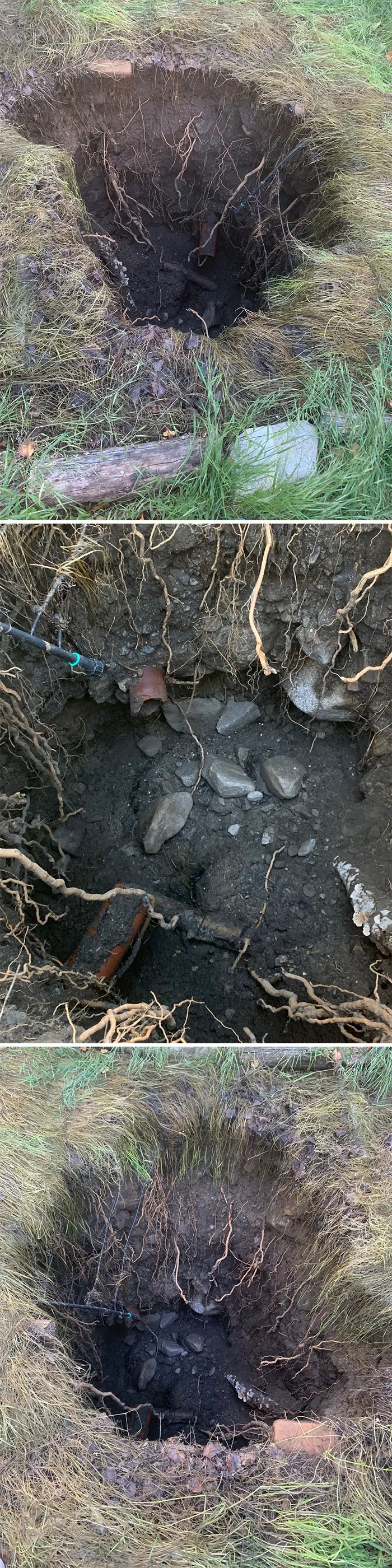 25 "Pesadillas" y "milagros" vistos durante inspecciones estructurales