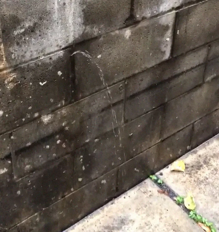 25 "Pesadillas" y "milagros" vistos durante inspecciones estructurales