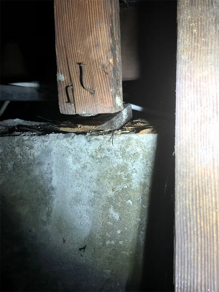 30 'Nightmares' And 'Miracles' Spotted During Structural Inspections