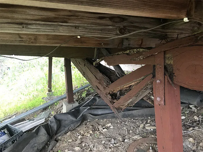 25 "Pesadillas" y "milagros" vistos durante inspecciones estructurales