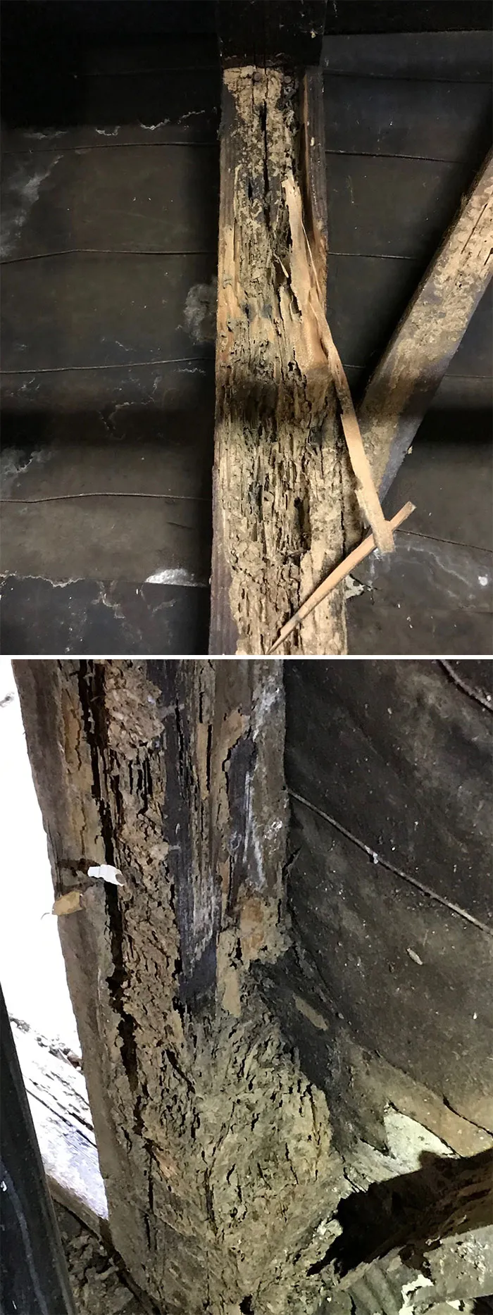 30 'Nightmares' And 'Miracles' Spotted During Structural Inspections