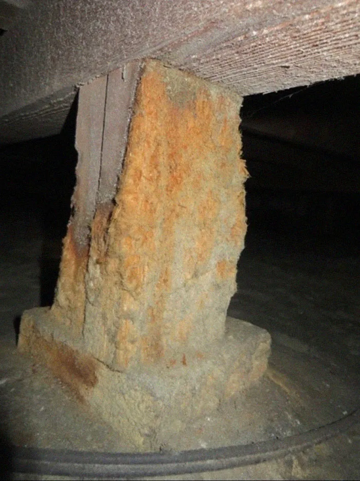 25 "Pesadillas" y "milagros" vistos durante inspecciones estructurales