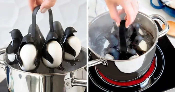 Meet 'Egguins', The Awesome New Kitchen Invention That Makes Boiling Eggs Easy And Fun