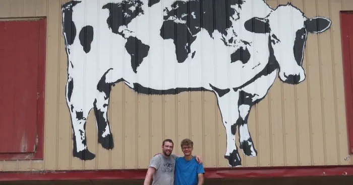 World Cows Bringing World Peace