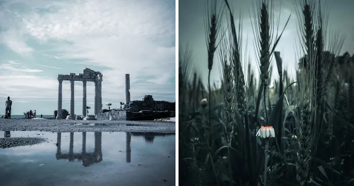 For Years, I've Been Taking Photos With My Smartphone And It Will Change Your Perspective