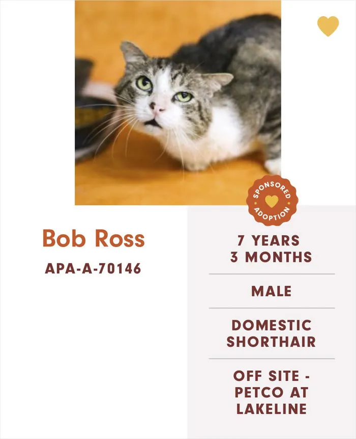 Someone Notices The Staff At This Animal Shelter Is Giving Rescue Cats The Most Epic Names