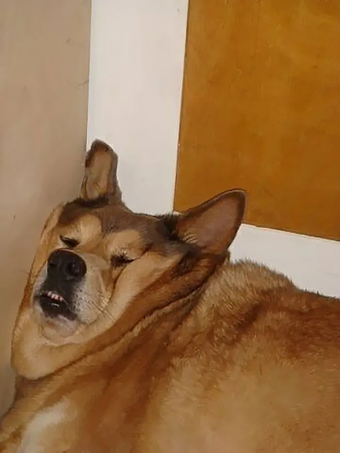 Bae Caught Me Sleeping