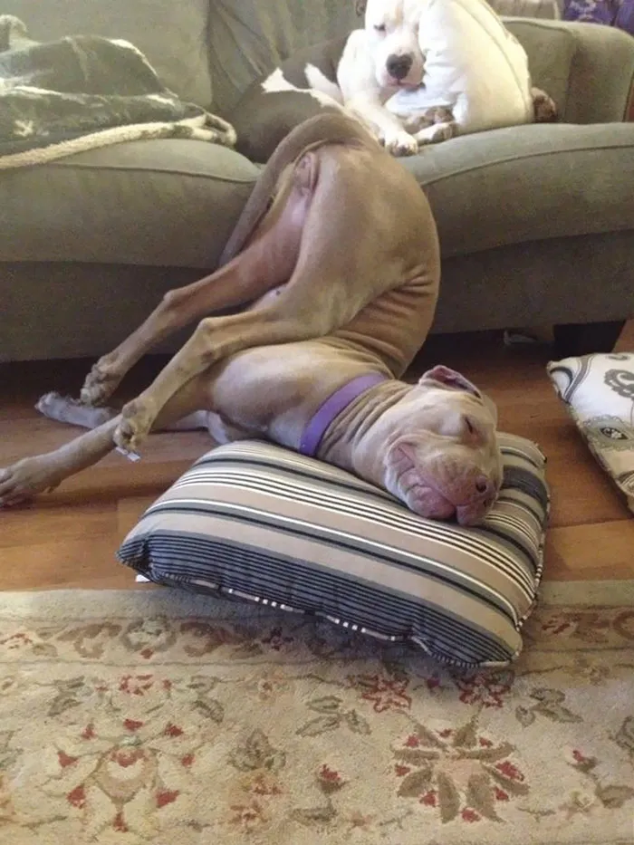 She Sleeps In Very Odd Positions