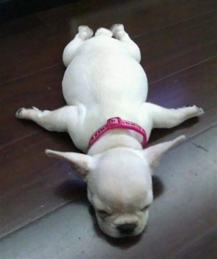 Weird Sleeping Position