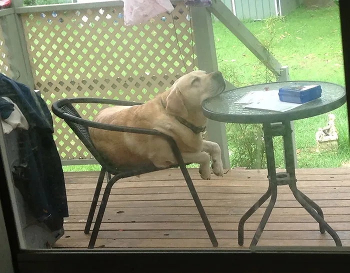 Actually This Sleeping Position Looks Quite Comfortable