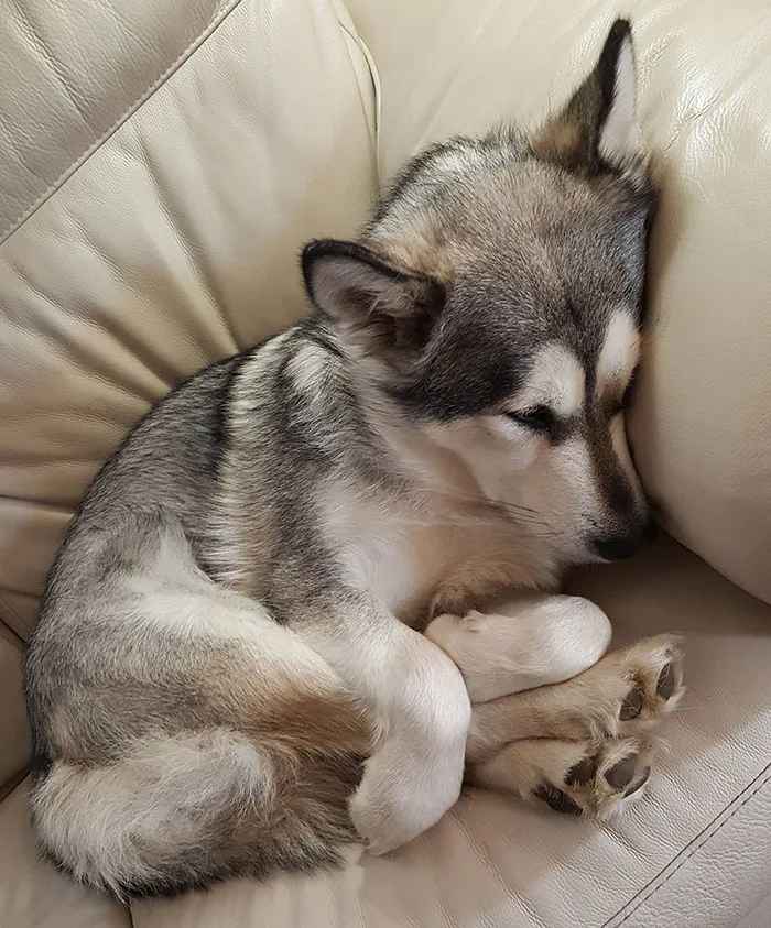 She Likes To Hold Her Feet When She Sleeps