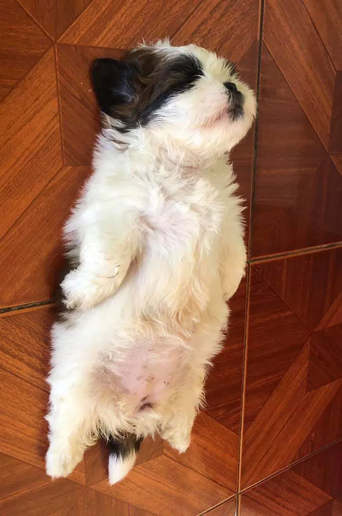 This Is How She Sleeps