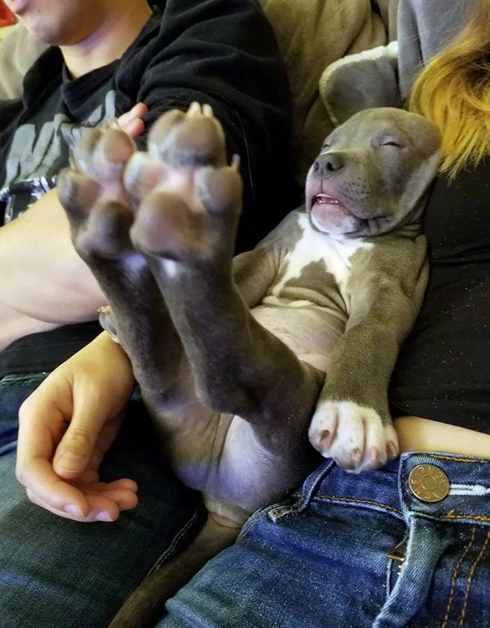 Nap Time
