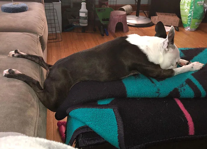 She Sleeps Like A Princess