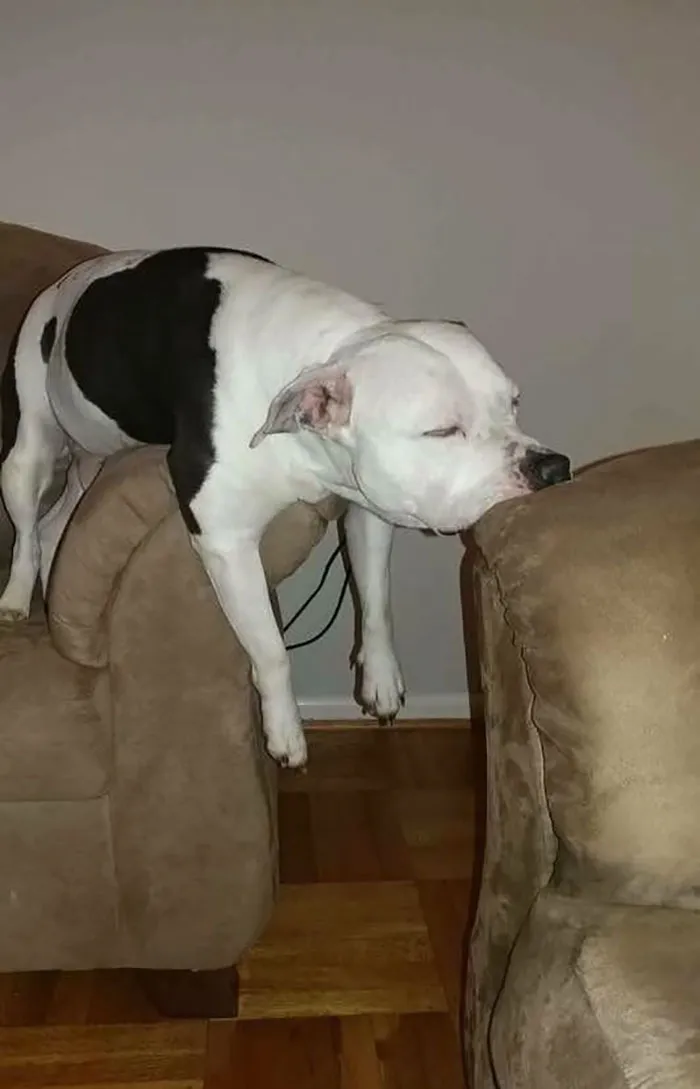 I'm So Tired