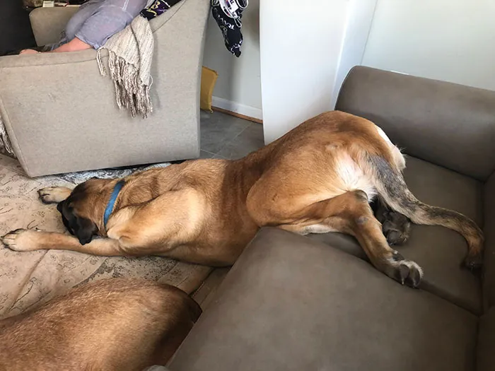 He Was Snoring Too
