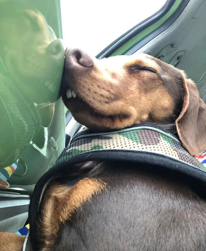 His Reflection Is The Greatest
