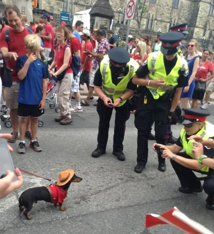 Canadian Police On The Job