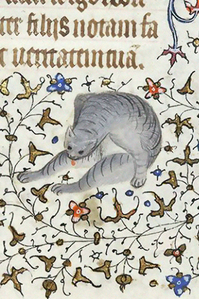 Apparently Medieval People Found Cats Licking Their Butts Fascinating And Here Are 14 Pics As Proof
