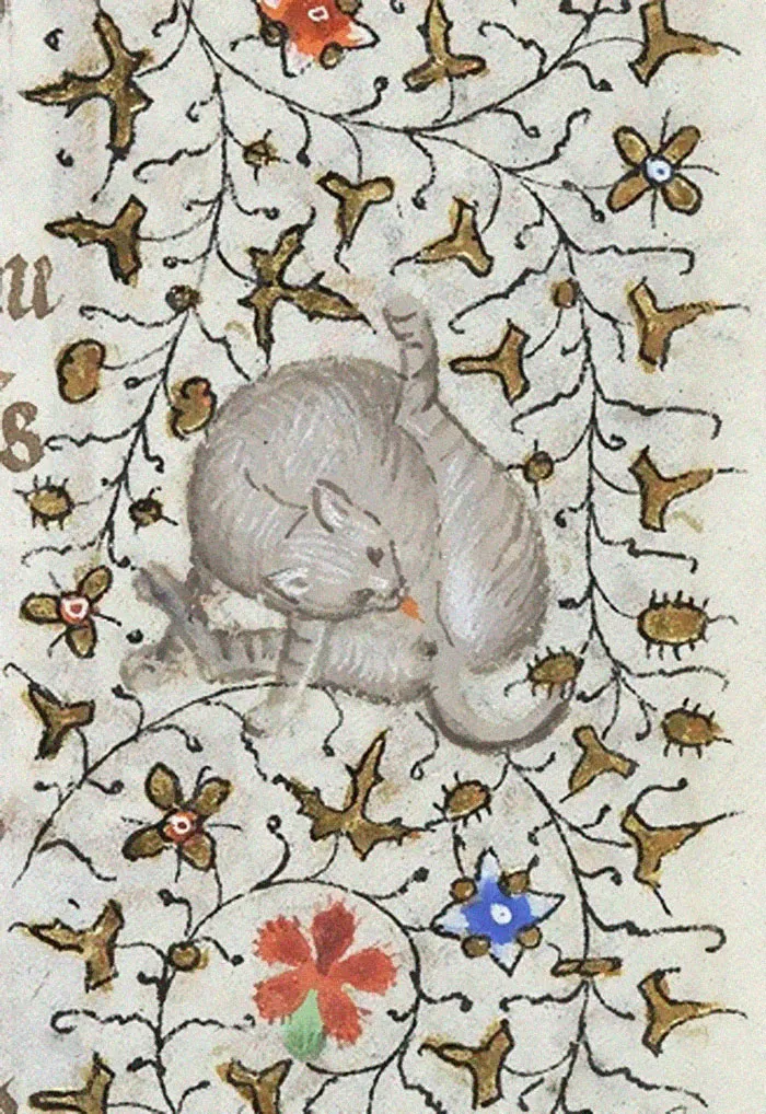 Apparently Medieval People Found Cats Licking Their Butts Fascinating And Here Are 14 Pics As Proof