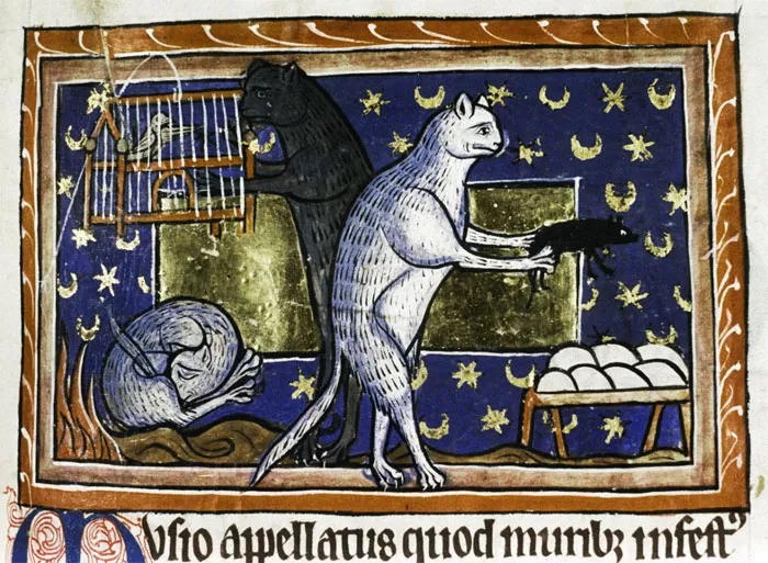 Apparently Medieval People Found Cats Licking Their Butts Fascinating And Here Are 14 Pics As Proof