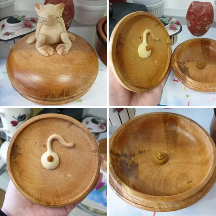Caja con un gato haciendo sus cosas