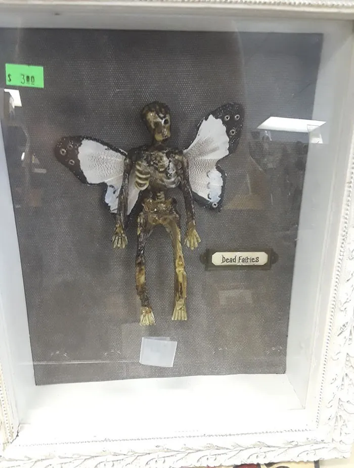 You Could Have Heard Me Squeal With Glee When I Walked Up On This Gem! I Grabbed It And Held On Tight (Granted No One Else Was Around At The Time)