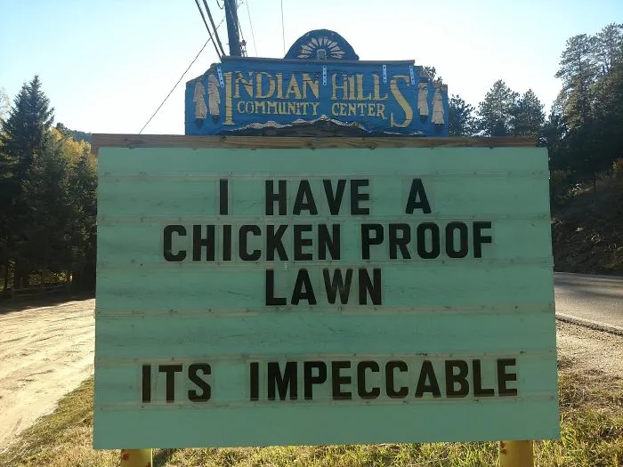 Someone In Colorado Is Putting Out The Funniest Signs Ever, And The Puns Are Priceless (New Pics)