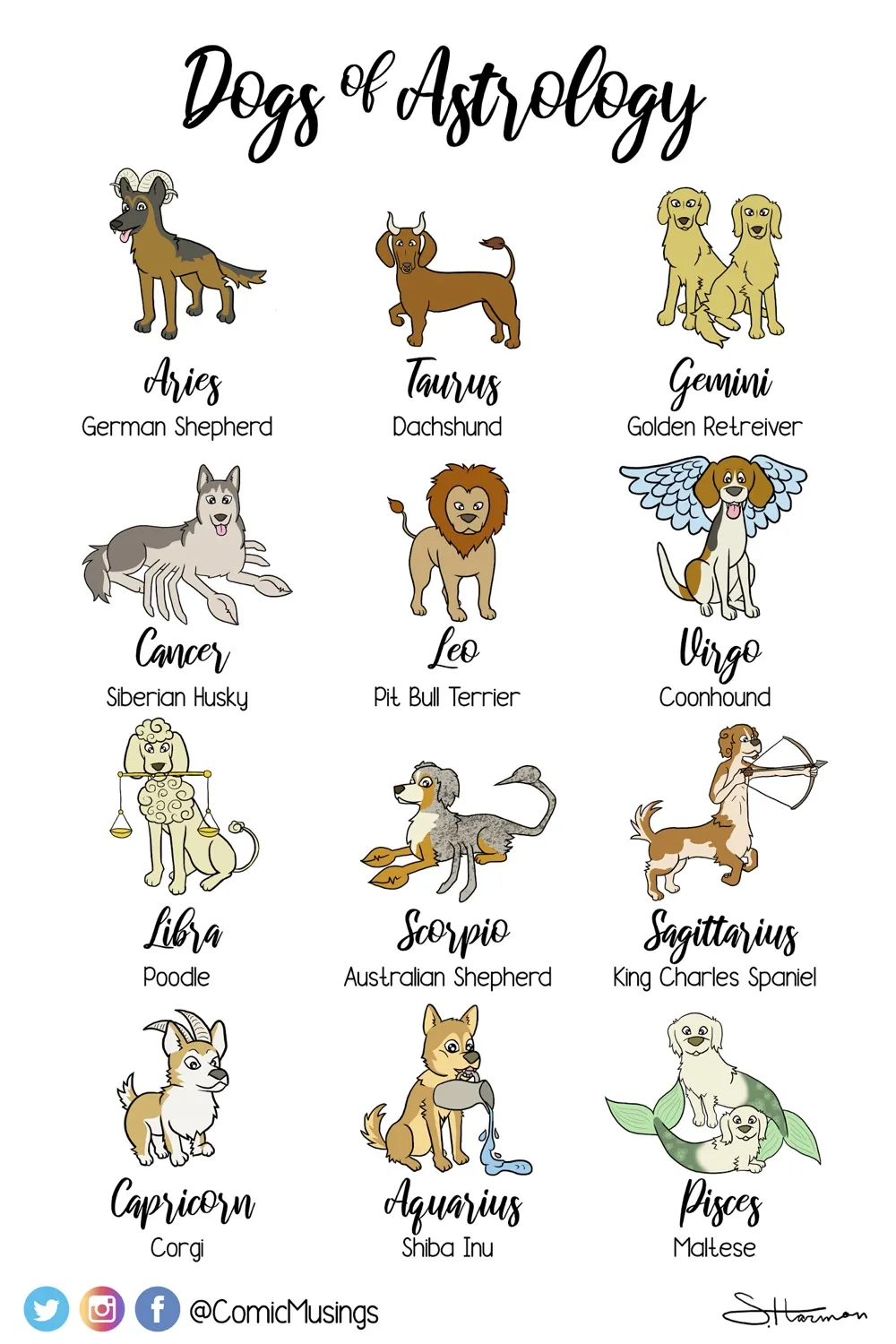 I Reimagined The Astrology Signs As Dogs