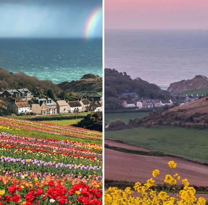 Another Image From The Guy Who Photoshops His Photos & Comments Praise Him. Someone Who Lives There Called Him Out And Took The Same Photo Showing No Tulip Field