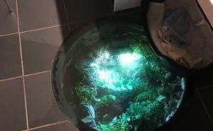 40 Times People Found Hidden Treasures Left By Previous Owners Inside Their Homes